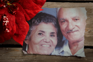 poinsettia_note_custom_16091